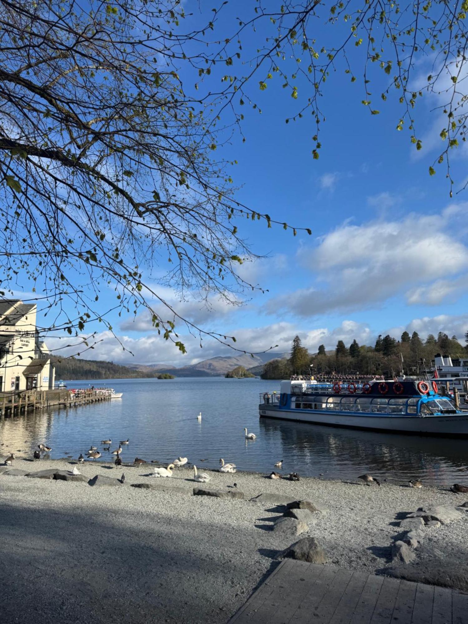Denecrest Guest House Windermere Dış mekan fotoğraf